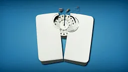 image of a broken in half individual weight scale