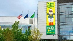 image of Ducks Give banner on building