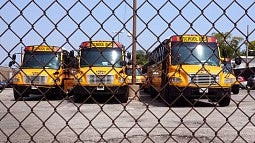 looking at front of buses through a chain link fence