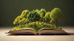 image of trees popping out of an open book